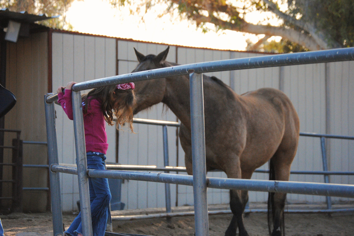 Tough Enough for the Barn: Kids’ Jeans That Last
