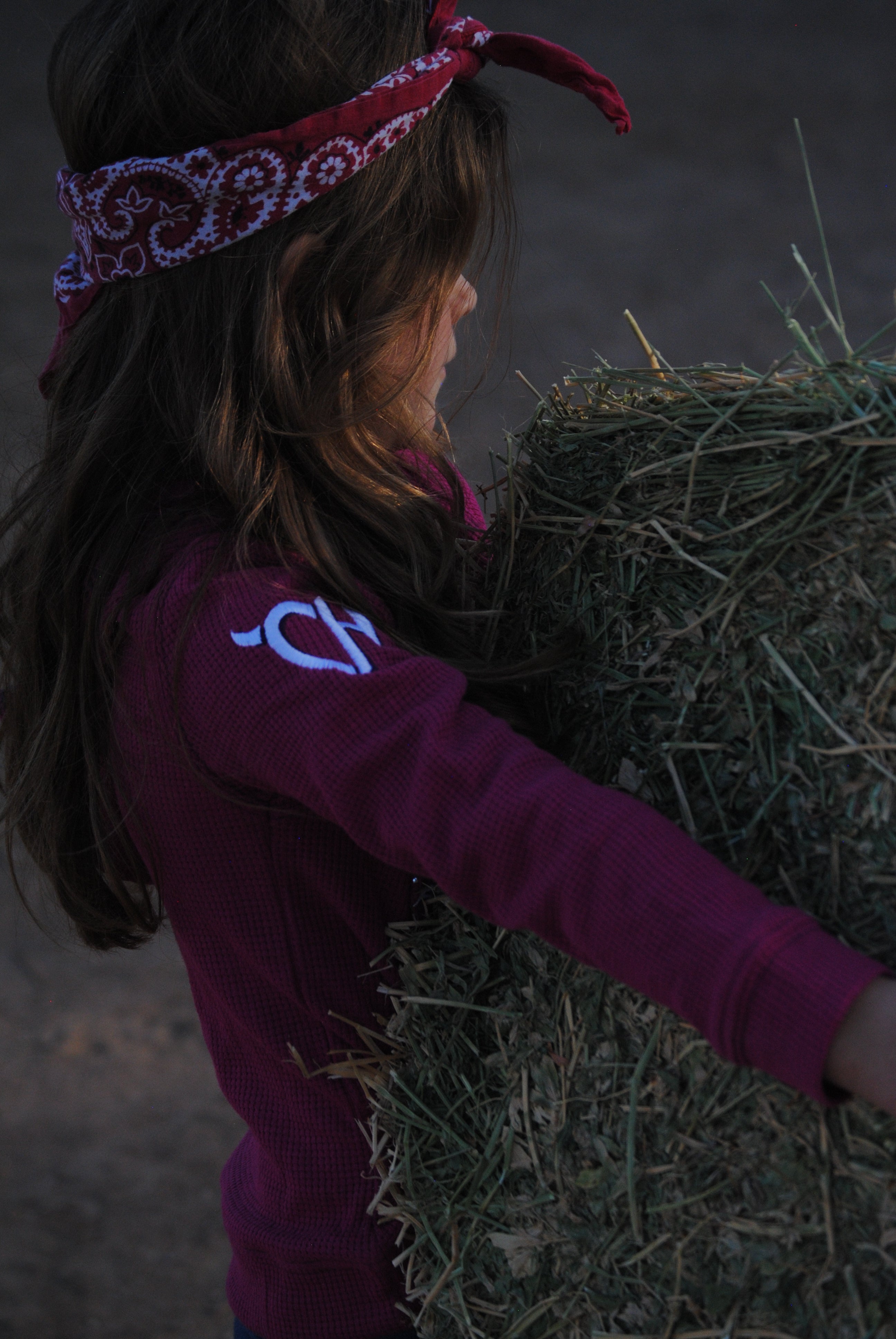 Young cowgirl moving hay while wearing a CH girls western top.