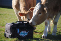 Cows Sniffing Our CH Fancy Heart Tooled Leather 3 Wheel Bag from Cowgirl Hardware