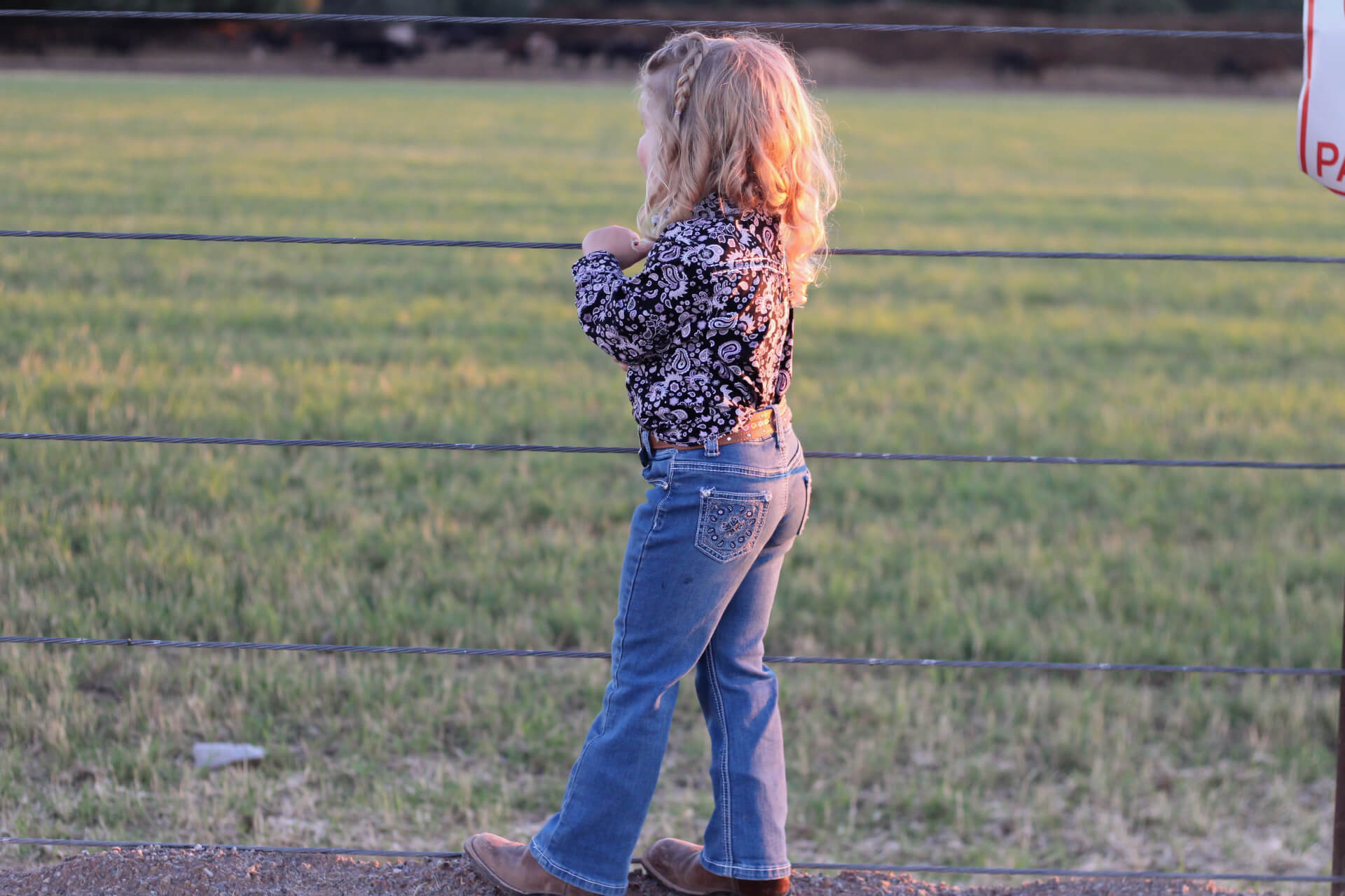 Young cowgirl checking on her horses.
