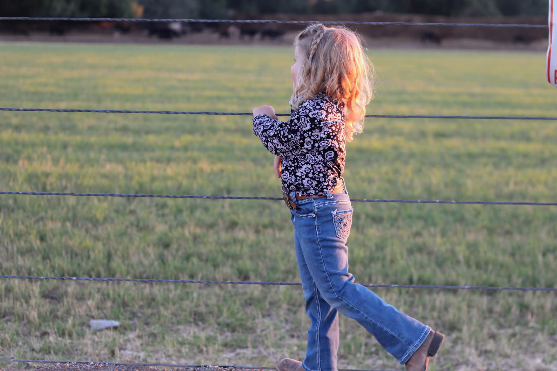 Young cowgirl playing on a wire fence.